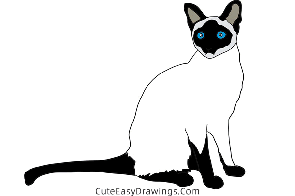 how to draw a siamese cat - www.cuteeasydrawings.com