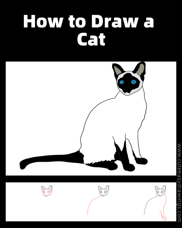 how to draw a siamese cat - www.cuteeasydrawings.com