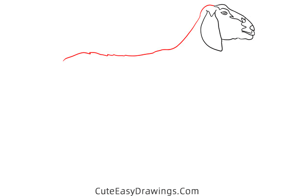 how to draw a realistic goat - www.cuteeasydrawings.com