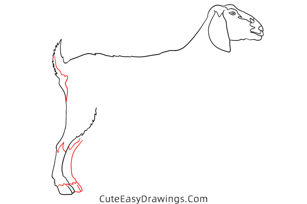 how to draw a realistic goat - www.cuteeasydrawings.com