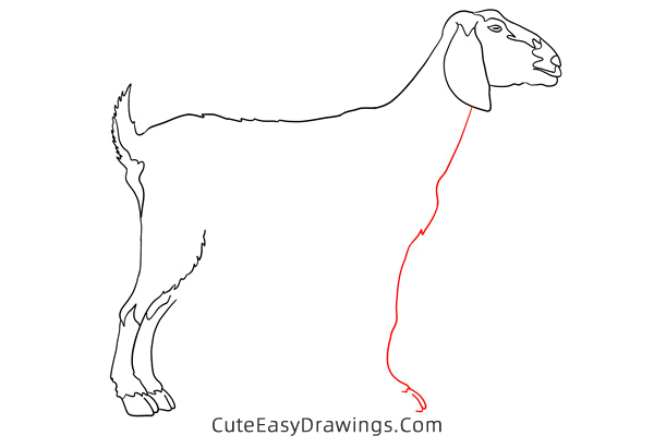 how to draw a realistic goat - www.cuteeasydrawings.com