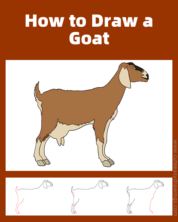 how to draw a realistic goat - www.cuteeasydrawings.com