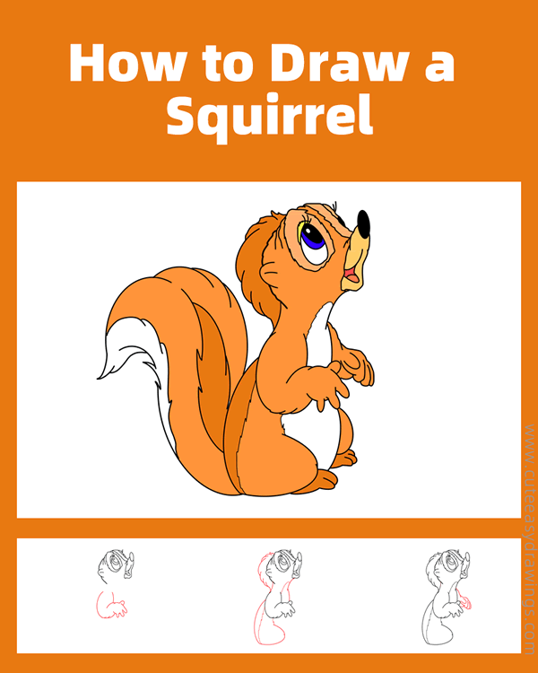 how to draw a squirrel - www.cuteeasydrawings.com