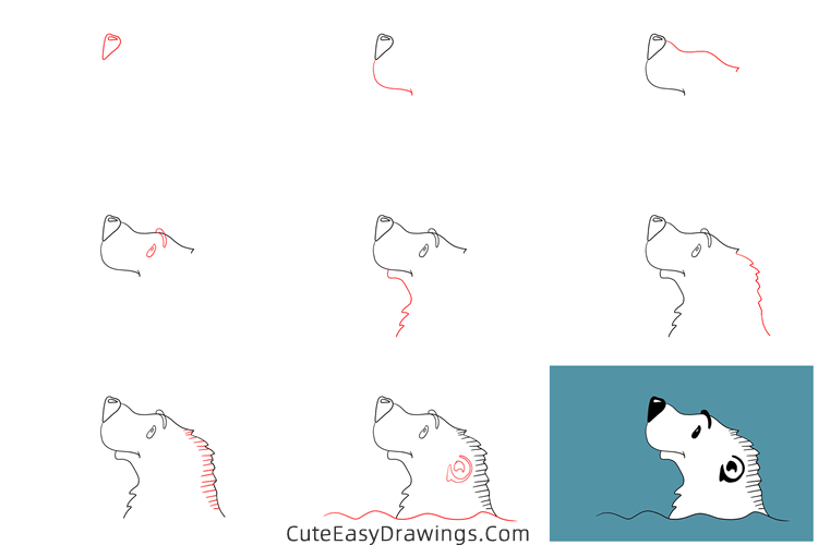 how to draw a polar bear head - www.cuteeasydrawings.com