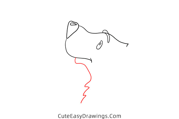 how to draw a polar bear head - www.cuteeasydrawings.com