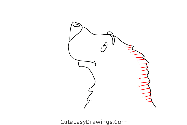 how to draw a polar bear head - www.cuteeasydrawings.com