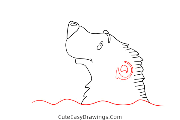 how to draw a polar bear head - www.cuteeasydrawings.com