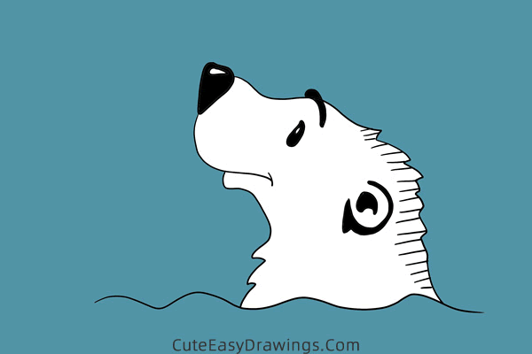 how to draw a polar bear head - www.cuteeasydrawings.com