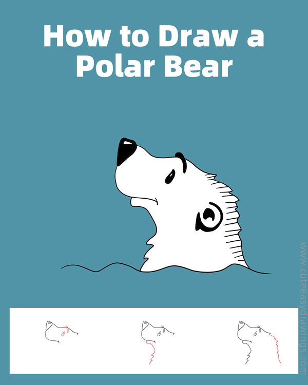 how to draw a polar bear head - www.cuteeasydrawings.com