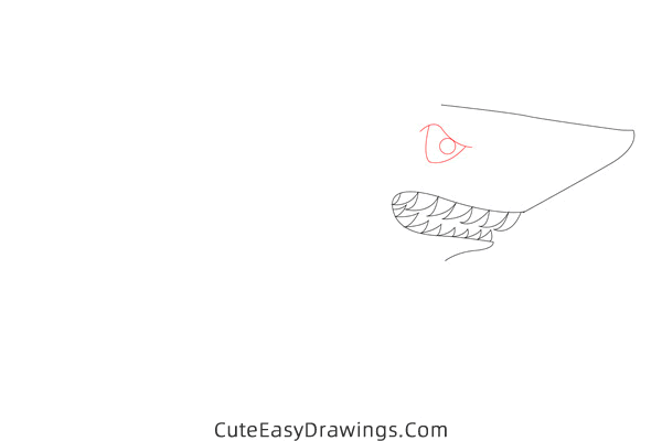 how to draw a shark easy - www.cuteeasydrawings.com