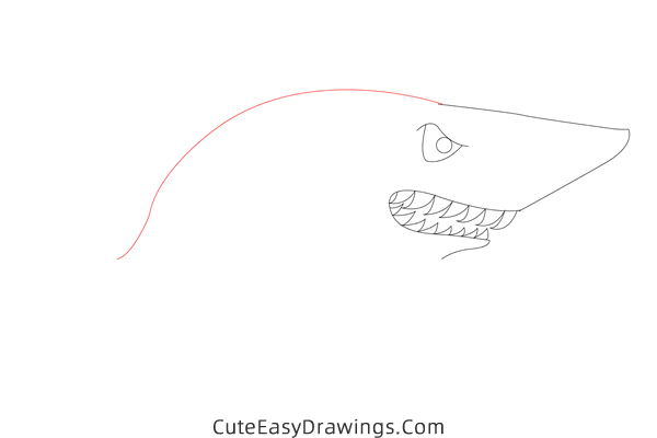 how to draw a shark easy - www.cuteeasydrawings.com