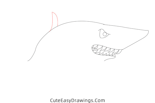 how to draw a shark easy - www.cuteeasydrawings.com