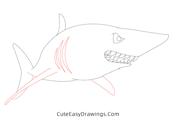 how to draw a shark easy - www.cuteeasydrawings.com