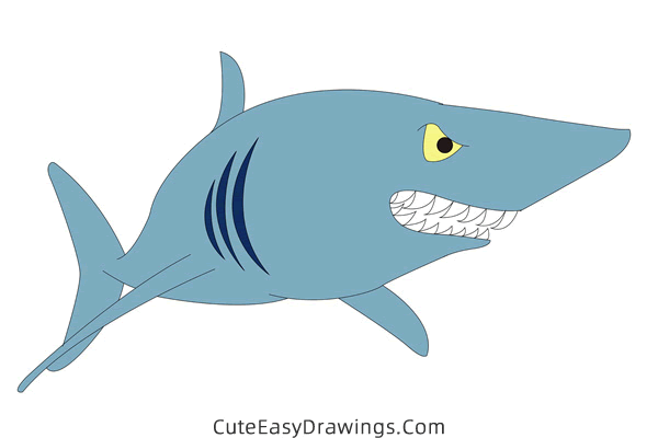 how to draw a shark easy - www.cuteeasydrawings.com