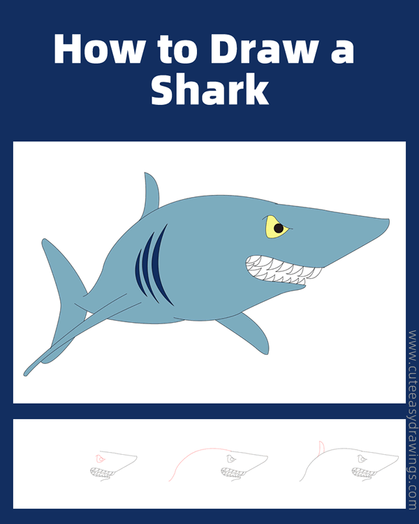 how to draw a shark easy - www.cuteeasydrawings.com