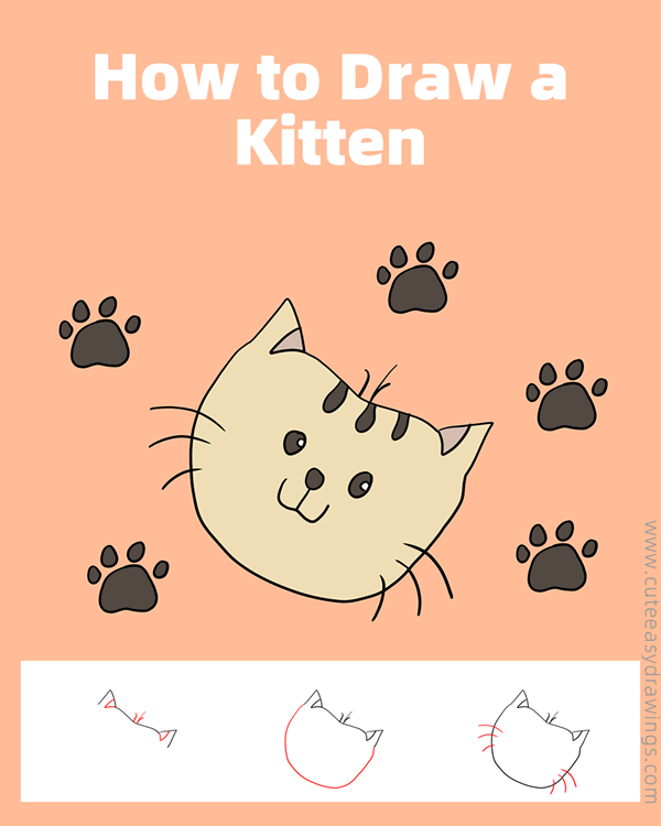 how to draw a kitten face - www.cuteeasydrawings.com