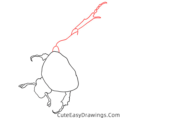 how to draw a scarab beetle - www.cuteeasydrawings.com