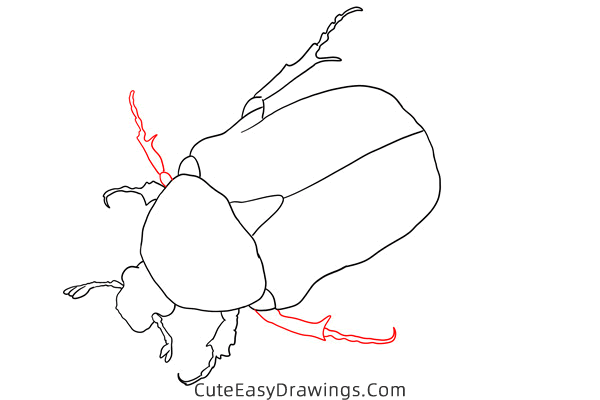 how to draw a scarab beetle - www.cuteeasydrawings.com