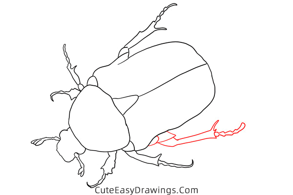 how to draw a scarab beetle - www.cuteeasydrawings.com