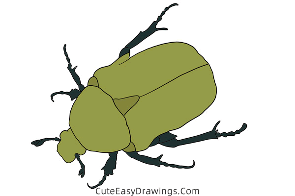 how to draw a scarab beetle - www.cuteeasydrawings.com