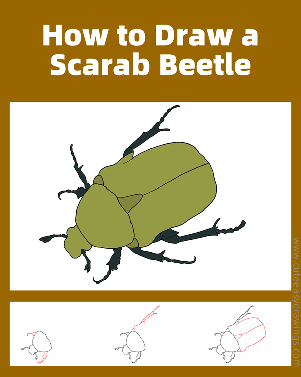 how to draw a scarab beetle - www.cuteeasydrawings.com