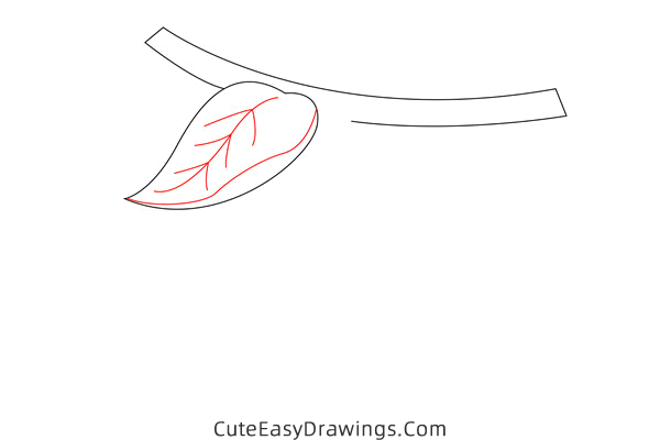 how to draw a kiwi fruit - www.cuteeasydrawings.com