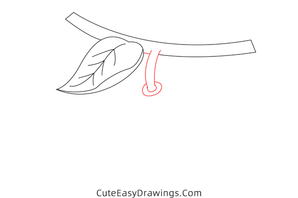 how to draw a kiwi fruit - www.cuteeasydrawings.com