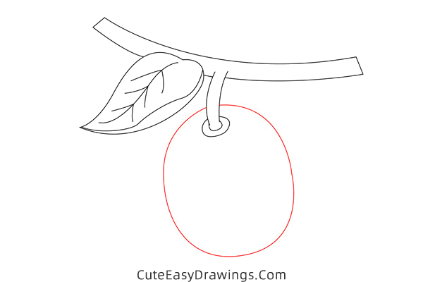 how to draw a kiwi fruit - www.cuteeasydrawings.com