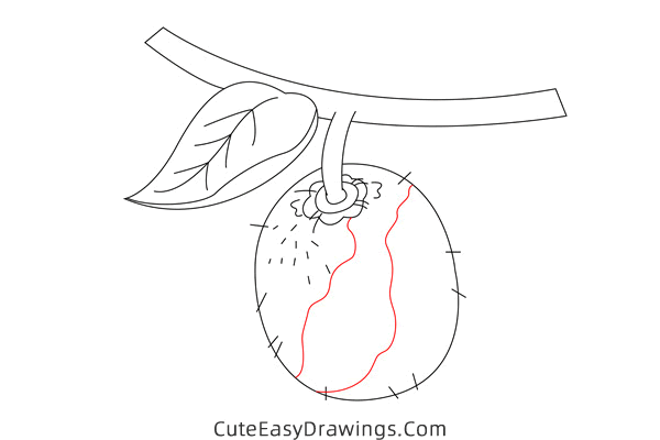 how to draw a kiwi fruit - www.cuteeasydrawings.com