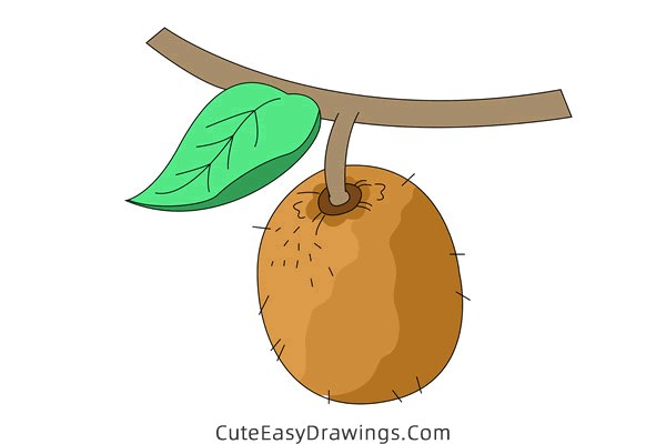 how to draw a kiwi fruit - www.cuteeasydrawings.com