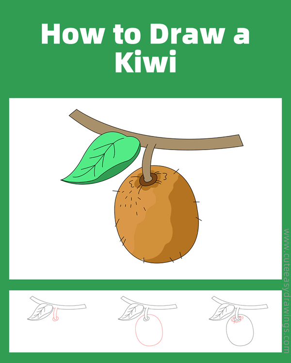 how to draw a kiwi fruit - www.cuteeasydrawings.com