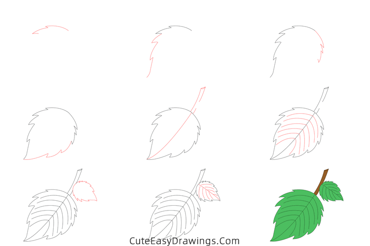 how to draw a leaf - www.cuteeasydrawings.com