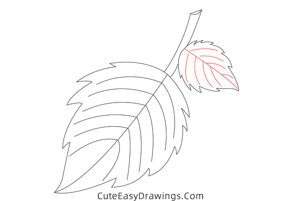 how to draw a leaf - www.cuteeasydrawings.com