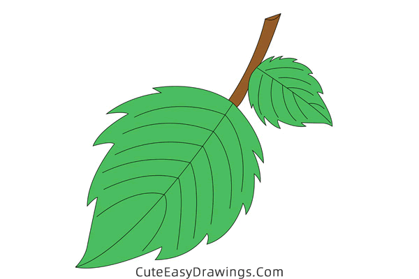 how to draw a leaf - www.cuteeasydrawings.com