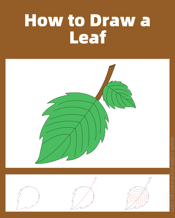 how to draw a leaf - www.cuteeasydrawings.com