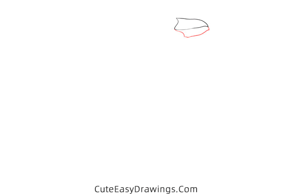 how to draw a realistic penguin - www.cuteeasydrawings.com