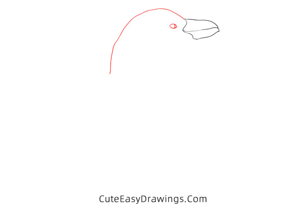 how to draw a realistic penguin - www.cuteeasydrawings.com