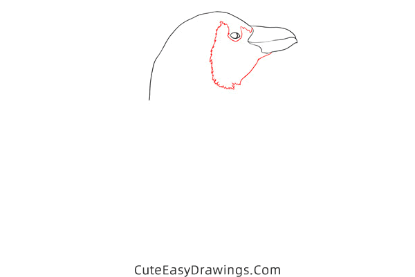 how to draw a realistic penguin - www.cuteeasydrawings.com