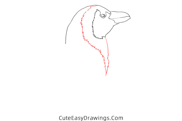 how to draw a realistic penguin - www.cuteeasydrawings.com