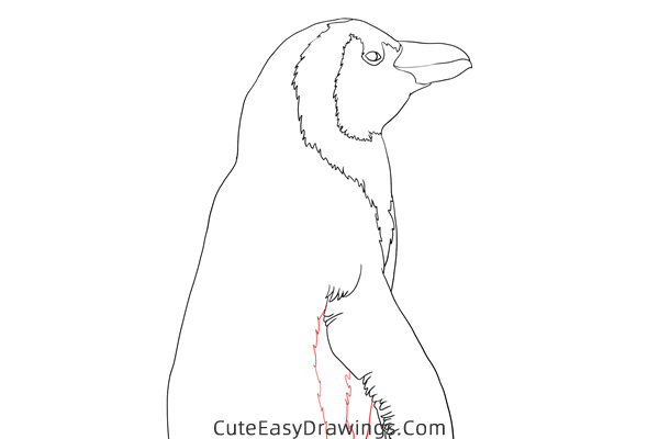 how to draw a realistic penguin - www.cuteeasydrawings.com