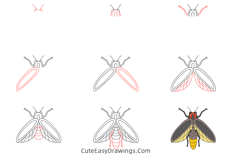 how to draw a firefly - www.cuteeasydrawings.com