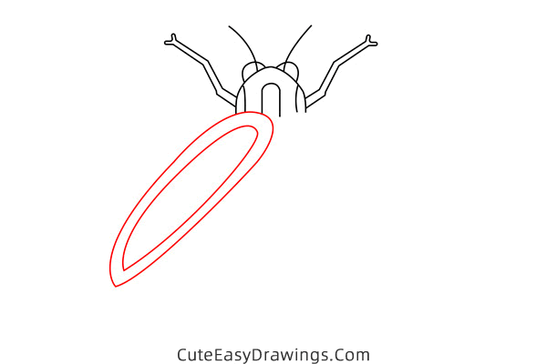 how to draw a firefly - www.cuteeasydrawings.com