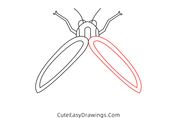 how to draw a firefly - www.cuteeasydrawings.com