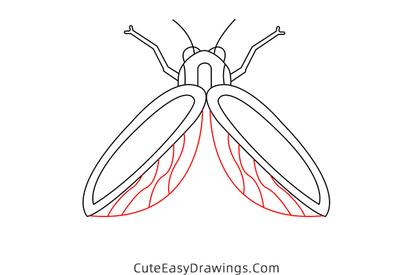 how to draw a firefly - www.cuteeasydrawings.com