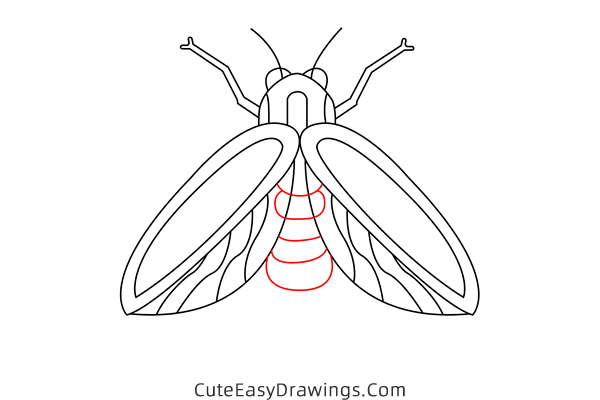 how to draw a firefly - www.cuteeasydrawings.com