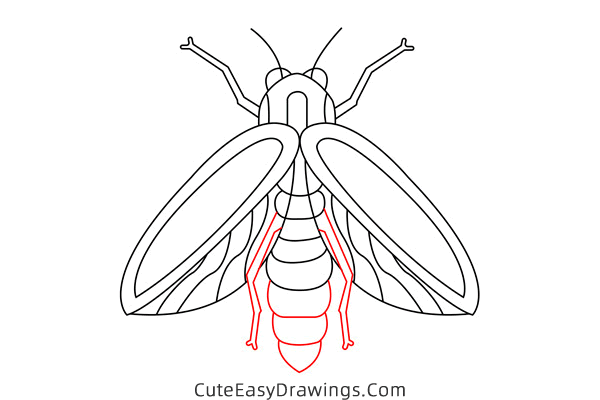 how to draw a firefly - www.cuteeasydrawings.com