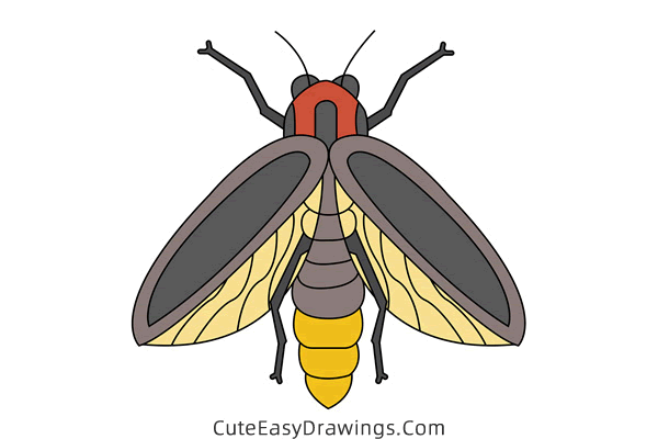 how to draw a firefly - www.cuteeasydrawings.com