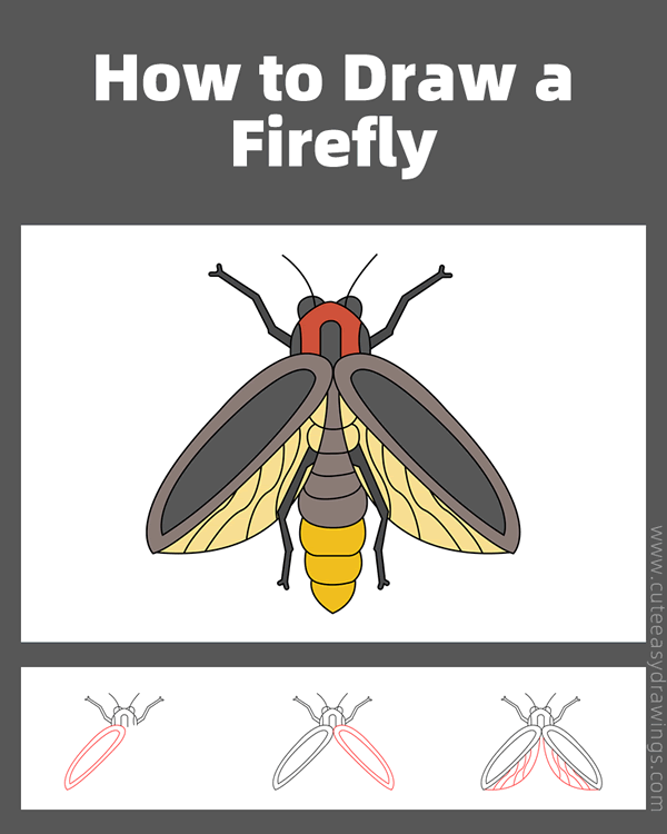 how to draw a firefly - www.cuteeasydrawings.com