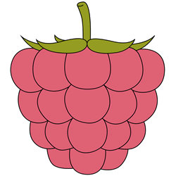 How to Draw a Raspberry Step by Step