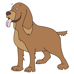 How to Draw a Cocker Spaniel Step by Step